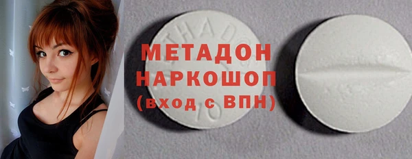 прущие грибы Каменка