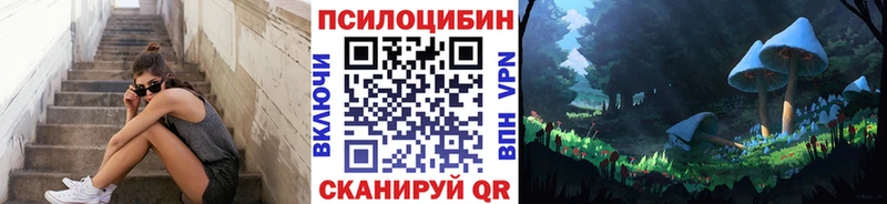 Псилоцибиновые грибы MAGIC MUSHROOMS  наркотики  Бологое 